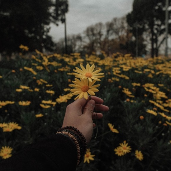 chloe_rie